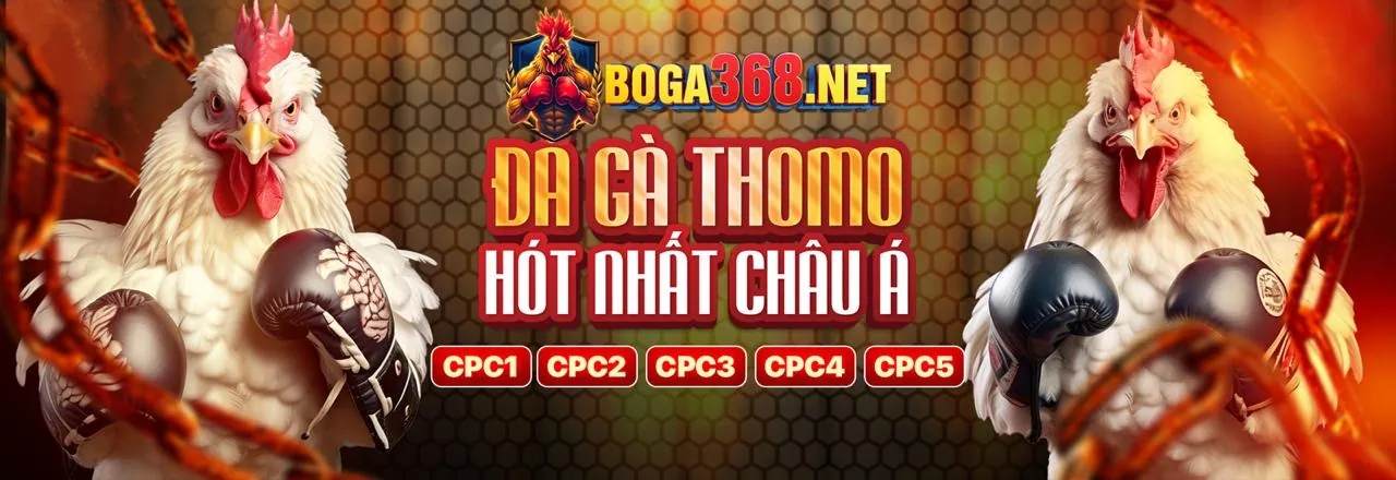 Giao diện cá cược thể thao 69 casino